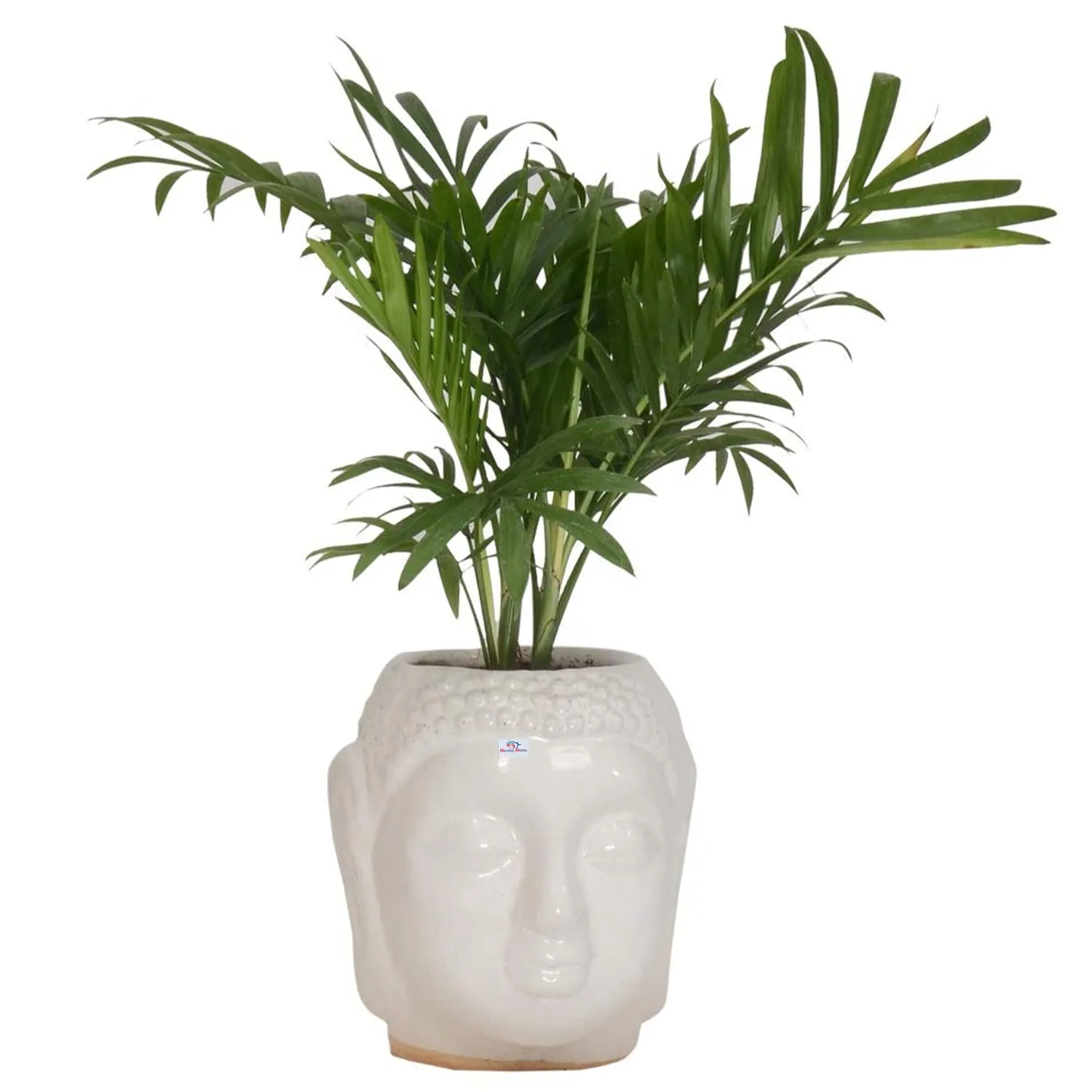 Heart Home Buddha Flower Pot|Buddha Head Shape Flower Planter|Plastic Flower Plant for Home Décor|Office Décor|Pack of 5 (White)