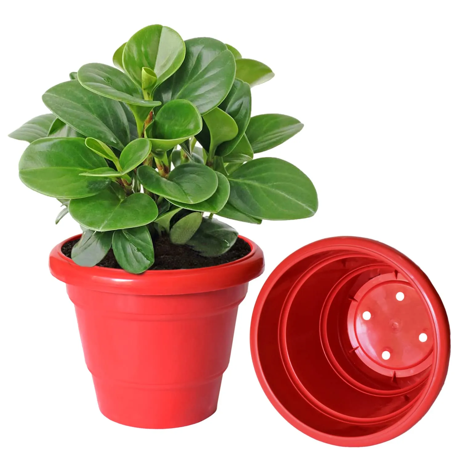 Heart Home Solid 2 Layered Plastic Flower Pot|Gamla for Home Decor,Nursery,Balcony,Garden,8"x 6",Pack of 5 (Red)