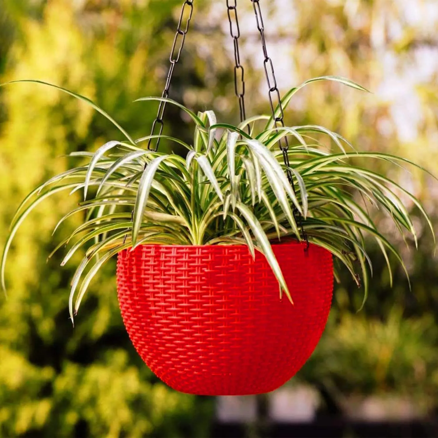 Kuber Industries Plastic Hanging Flower Pot for Balcony & Railing Set of 6 (Red) 53KM3830