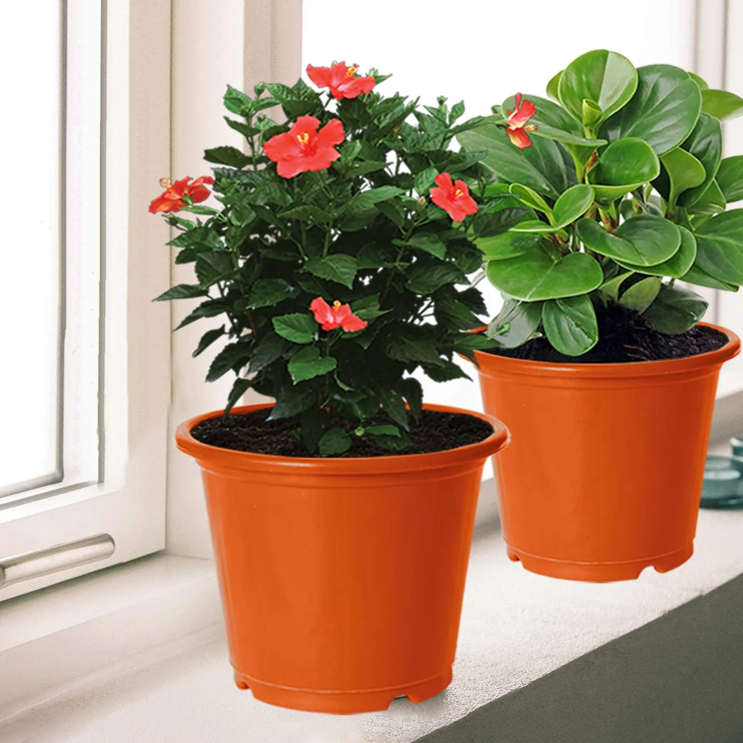 Kuber Industries Plastic Planters|Gamla|Flower Pots for Garden Nursery Home Décor,8"x6",Pack of 4 (Orange)