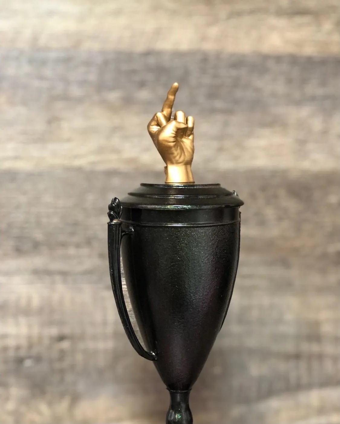 Middle Finger Funny Trophy Iridescent Cup Award FFL Loser Award Adult Humor The Bird F*ck You One Finger Two Words Christmas Gag Gift