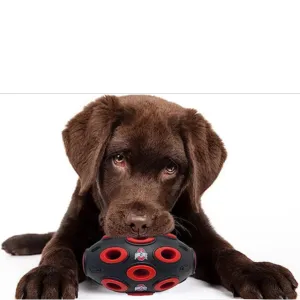 Pets First Ohio State Treat Dispenser