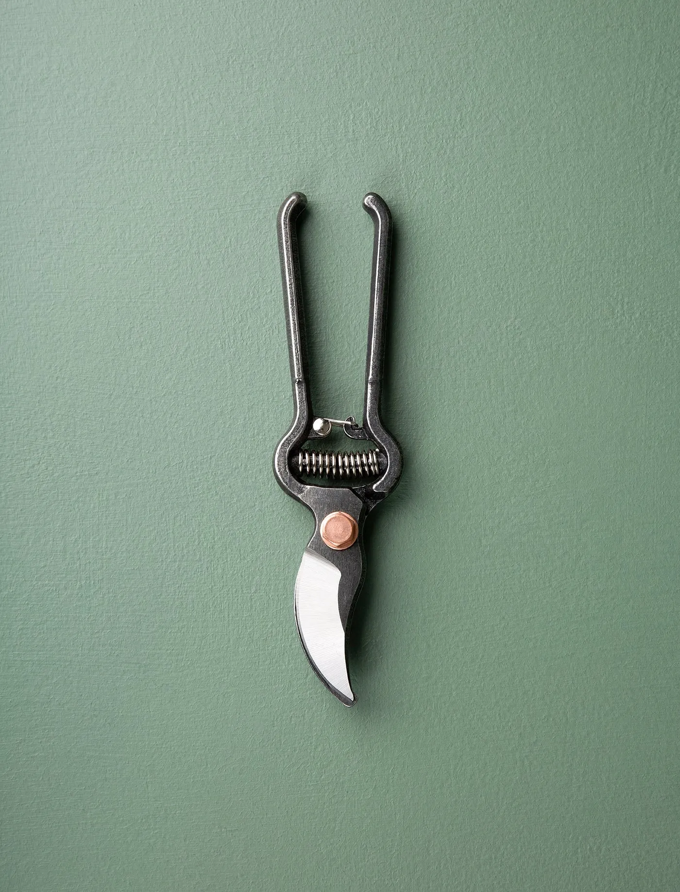 Pruner with Sheath